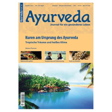 Heft 30 - Kuren am Ursprung des Ayurveda